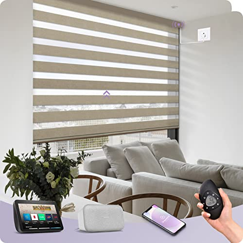 Graywind Customized Smart Zebra Blinds, Hardwired Electric Day Night Blinds, Alexa & Google Compatible, Privacy Protection, Coffee
