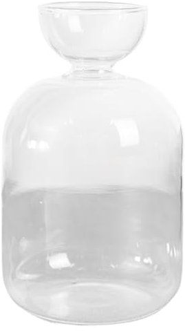 Klare Knospenvasen, Avocado -Samen -Starter Vase 3.4x5,4 Glas Avocado -Vase für Glühbirnen wachsen minimalistische Klare Knospenvasen kleine Pflanzen -Topf -Vase für Wasserwurzel und Innendekoration