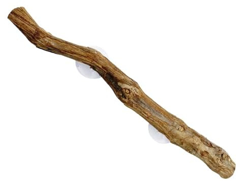 Genérico Branche d'escalade pour reptiles - Bois de vigne naturel avec | Accessoire pour terrarium à serpents, lézards et geckos | Cachette & Support d'escalade dans un habitat en verre | Décoration