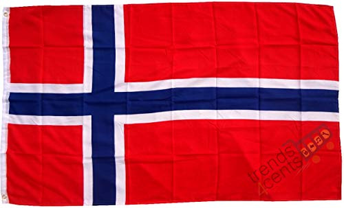 Top Qualität - Flagge NORWEGEN Norway Fahne, 250 x 150 cm, EXTREM REIßFEST, Keine BILLIG-CHINAWARE, Stoffgewicht ca. 100 g/m², sehr robust, extra starke Messing-Ösen