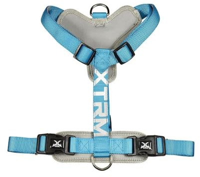 Nayeco 06948 Arnes x-TRM Neon Flash, Blau, 35-60 x 1,5 cm