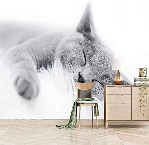 Papier Peint Panoramique Chat 3D Poster Mural pour Salon Chambre Décoration Murale