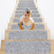 14Pcs Stair Carpet Treads, Stair Stickers Self-adhesive, 55 * 20CM Non-Slip Stair Mats Stair Runner Carpet for Staircases, Stair Mat Safety Washable Stair Rug for Kid Elder Pet (Light Grey)
