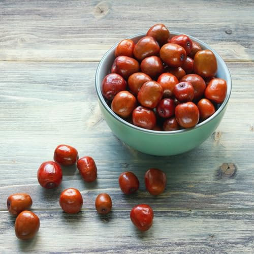 80 Pcs Chinesische Jujube Samen - Ziziphus Jujuba - Obstbaum, Winterharte Balkonpflanzen Jujube Baum Kaufen, Bodendecker, Garten Geschenk Säulenobstbäume, Bio Saatgut Bonsai Samen,