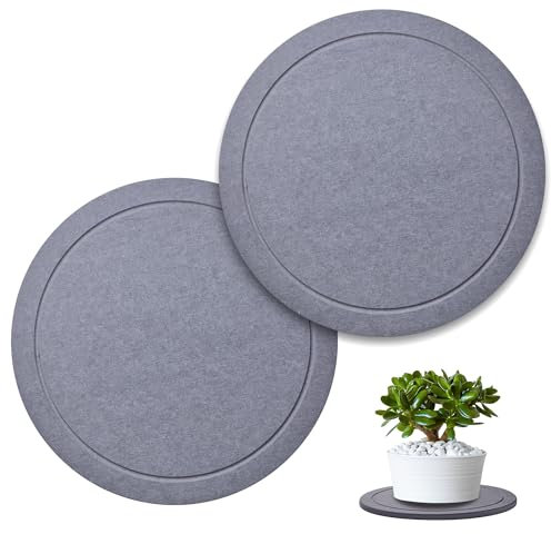 Lot de 2 grandes soucoupes pour plantes d'intérieur de 30,5 cm en terre de diatomée pour l'intérieur sans trous, plateaux de plantes pour pots, plateau en pierre à séchage rapide pour attraper l'eau