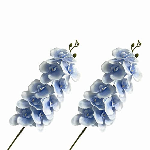 Künstliche Blumen 2 Stück Seide Orchidee Kunstblumen Innen Blau Water Velvet Phalaenopsis High Chinese Phalaenopsis Wedding Flower Home Furnishing Hotel Decor Artificial Flowers für Haus Geschenk