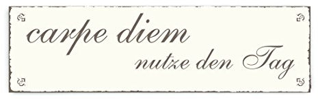 SCHILD Türschild « CARPE DIEM - NUTZE DEN TAG » Shabby Vintage Holzschild Dekoschild Dekoration Gastronomie Glück Restaurant