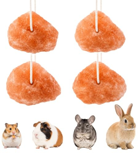 4 Stück Salzlecksteine mit Seil für Haustiere, Mineralstoffreicher Kauspielstein für Kaninchen Meerschweinchen und Eichhörnchen zur der Zahngesundheit und Beschäftigung