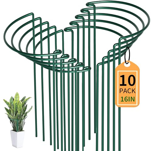 SYITCUN 10 Stück Pflanzenstütze Staudenhalter Halbrund (25x40cm) – Robuste 4mm Draht Metall Gartenstützen für Blumen,Kletterpflanzen&Stauden