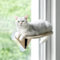 MEWOOFUN Cat Window Perch Hammock - Wooden Cat Bed with Strong Suction Cup, 1 pcs