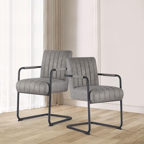 DUBI Möbel Esszimmerstuhl Ben 2er Set, Freischwinger Armlehnenstuhl Polsterstuhl für Küche, Wohnzimmer, Esszimmer Büro, modern Industrial Design, Wildleder Grau, 2 Stück, 21106-YU09-2