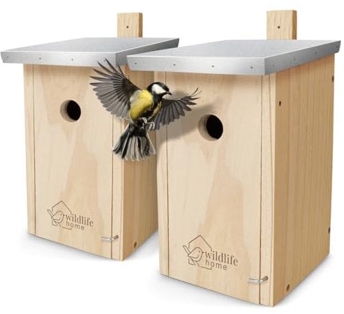 WILDLIFE HOME Nistkasten Meisen - 2er Set mit Metalldach für Kohlmeisen & Co. I nach NABU aus verschraubtem Massiv-Holz I Wetterfest & Unbehandelt I Vogelhaus zum Aufhängen, 2 Stück