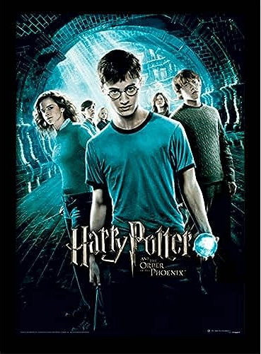 Pyramid International Harry Potter (Order of The Phoenix) 30x40 cm gerahmter Druck, 250GSM PAPERWRAP MDF, Mehrfarbig, 44 x 33 x 4 cm