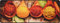 Fußmatte Schmutzfangmatte Küche Küchenläufer Deco-Flair Kitchen Gewürze 45 x 75 cm rutschfest und waschbar