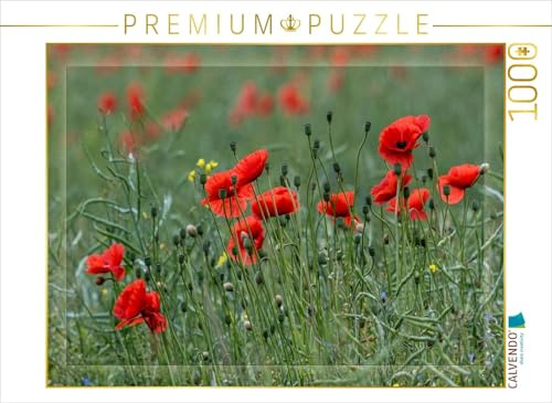 CALVENDO Puzzle Mohnblumen – Pure Faszination in Rot | 1000 Teile Lege-Größe 64 x 48 cm Foto-Puzzle für glückliche Stunden