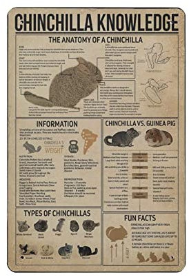 Chinchilla Knowledge Poster Metallschild Art Wall Plaque Decor Infographic Poster Iron Painting Aluminium Sign for School Education Farm Men Cave Bar Yoga Outdoor Decor 8x12in