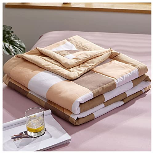 RRNAR Sommer Bettdecke aus Gewaschene Baumwolle, Dünne Steppdecke für Einzelbett, Wendedesign Sommerbettdecken ohne bezug nutzbar, Leichte & Weiche Sommerdecke,I,150x200cm