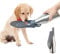 ZoneYan Bouteille d'Eau de Voyage pour Chien - 750 ML / 27oz, Distributeur Portable en Acier Inoxydable, Gourde Anti-Fuite (Gris)