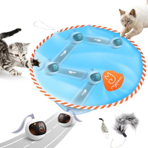 Migipaws Interaktives Katzenspielzeug-Set, Fun Tracker, elektrisch rollender Blinkender Ball versteckt Sich im Beutel,Jagenspaß genießen