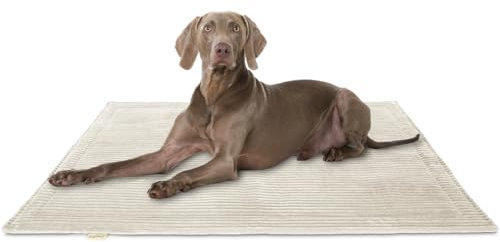 Knuffelwuff Hundedecke Timor 140x100cm Beige - Bequeme und Pflegeleichte Liegedecke aus weichem Cord - waschbar - für große, mittelgroße und kleine Hunde