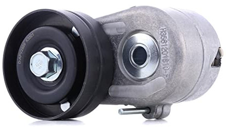 DAYCO APV2669 Tensor de Correa, Correa Poli V