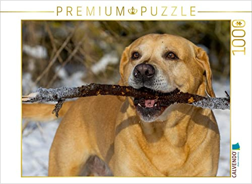 CALVENDO Puzzle EIN Motiv aus dem Kalender Labrador Retriever - EIN Herz auf 4 Pfoten | 1000 Teile Lege-Größe 64 x 48 cm Foto-Puzzle für glückliche Stunden