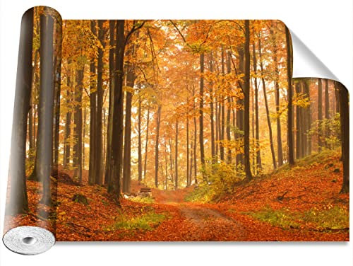 Tulup Décoration Murale Pour la maison Protection Moderne Bricolage 208x146cm Papier Peint - Forêt en automne