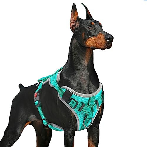 Supet Hundegeschirr, kein Ziehen, Hundegeschirr (Leash nicht im Lieferumfang enthalten), kein Würgen, Hundegeschirr, verstellbar, reflektierend, strapazierfähig, mit Griff zur einfachen Kontrolle für