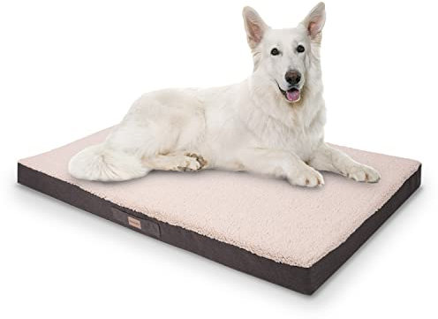 brunolie Balu Hundebett in Dunkelbraun, waschbar, orthopädisch und rutschfest, kuscheliges Hundekissen mit atmungsaktivem Memory-Schaum, Größe XXL (120 x 100 x 10 cm) Beige