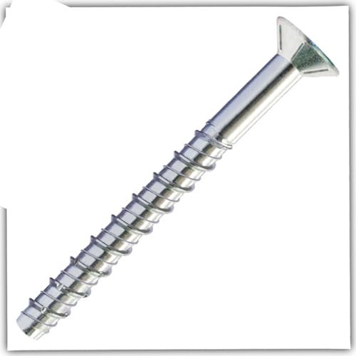 Bricoloco.com Vis à tête fraisée pour béton sans cheville insertion directe dans le matériau. Fixations lourdes et durables Résistant au feu (10, 10 x 100 mm)