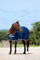 Horseware Amigo Jersey Cooler Abschwitzdecke Navy/Silver 155cm
