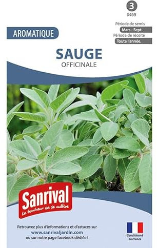 Graines Sauge officinale