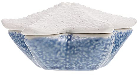 Trjgtas Céramique Conque Bol Snack Servant Bol De Stockage Océan Escargot Décoratif Bijoux Plateau Bols Conteneur De Bonbons for La Maison Bureau Nautique Fête Décoration (Color : Ocean Star)
