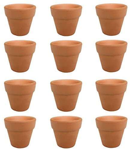 Molyorch 12 Pezzi Vasi in Terracotta, Vaso Terracotta in Argilla Rosso, Piante Terracotta Piccolo Vaso, Argilla Set Vaso, per Casa, Ufficio Decorativo (3 * 3cm)