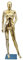 Rozhuhro Schneiderpuppe, Weiblich Schaufensterpuppe, Schaufensterpuppe, Metall Schneiderpuppe, Deko Mannequin, für Bekleidungsgeschäft Kleider,Gold,1