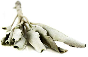 Weißer Salbei (Indianersalbei) 50g von Dragonspice Naturwaren