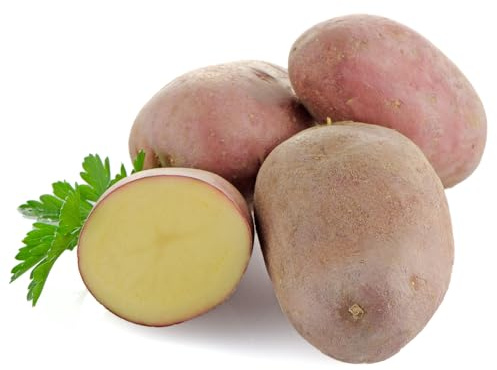 Kartoffeln | Sorte Laura | Rotschalige Speisekartoffeln aus der aktuellen Ernte vorw. festkochend/halbmehlig (9,50 KG)