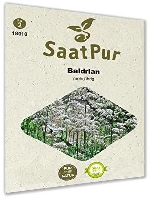 SaatPur Baldrian Samen, Saatgut für ca. 150 Pflanzen