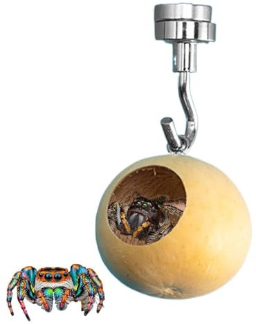 Springende Spinne Höhle Safe Home, Natürliche Kürbisse Springspinne Versteckzubehör Springspinne Gehege Magnetischer Unterstand für kleine Reptilien