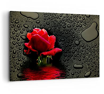 ARTTOR Impression sur Toile Moderne 100x70 cm Botanique Fleurs - 2367 | Fleur Rose Eau Moderne Tableau Décoratif Grand Décoration Murale Art Mural Toile Imprimée Salon Chambre Cuisine ARTTOR
