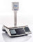 Geeichte Ladenwaage WKA-15PS-H mit Hochanzeige Max 6/15 kg - Teilung 2/5g