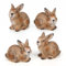 Logbuch-Verlag 4 Hasen Figuren Ostern Deko braun Terrakotta 9,5 cm Osterhasen kleines Ostergeschenk