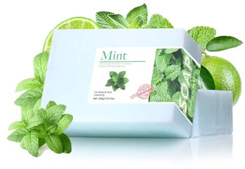 Handgemachte Seife, Seifen Duschgel, Vegane Duschseife für alle Hauttypen, 100% Bio Und Vegan Feste Dusche Handseife, Naturseife als festes Duschgel, Natürlicher Duschbrocken (Minze)