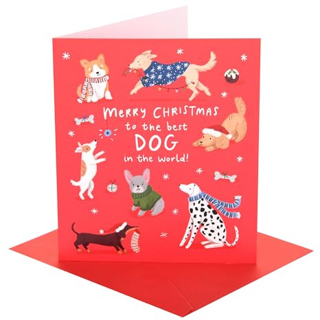 UK Greetings | Christmas Card to The Dog | With Envelope | Xmas Presents | Greeting Card | Her/Him | 18.4 x 15.9cm
