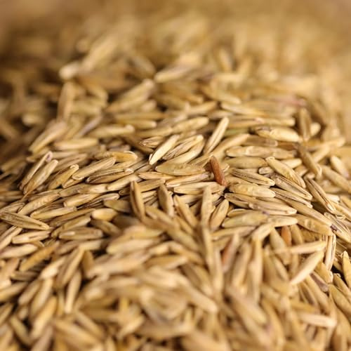 federgold Wachtel- & Hühnerwiese Schnellbegrüner 500g | Schnellbegrüner Saatgut für Geflügel – robuste, trittfeste Wiese für Auslauf, Gehege & natürliche Beschäftigung