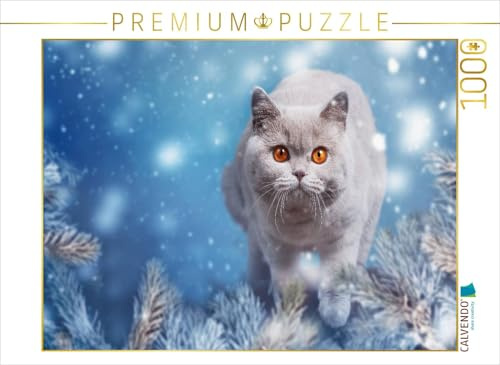 CALVENDO Puzzle EIN Motiv aus dem Kalender Kittens - Britisch Kurzhaar Katzenkinder | 1000 Teile Lege-Größe 64 x 48 cm Foto-Puzzle für glückliche Stunden