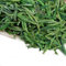 Chinois Longjing Thé Vert Original Puits du Dragon Thé de thé en vrac naturel(250g)