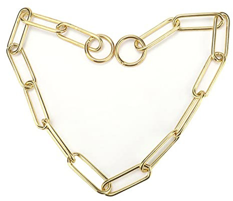 Joyzan Hundehalsband für Hunde, Hundehalsbänder, Kauversuch, Gold, Halbstrobe aus Metall, strapazierfähig, klein, mittelgroß, Training, Füße, Sicherheitskontrolle