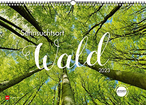Sehnsuchtsort Wald - Kalender 2023 - Delius-Klasing-Verlag - Wandkalender mit wundervollen Landschaften - 67,5 cm x 47 cm