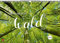 Sehnsuchtsort Wald - Kalender 2023 - Delius-Klasing-Verlag - Wandkalender mit wundervollen Landschaften - 67,5 cm x 47 cm
